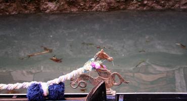 Living Venice: speak like a local!